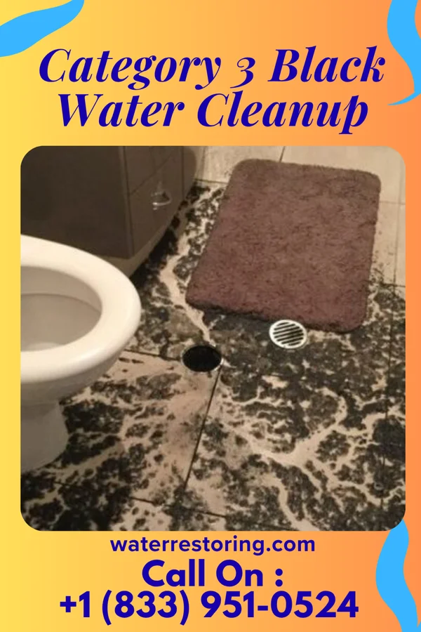 Category 3 Black Water Cleanup in Richland, IA